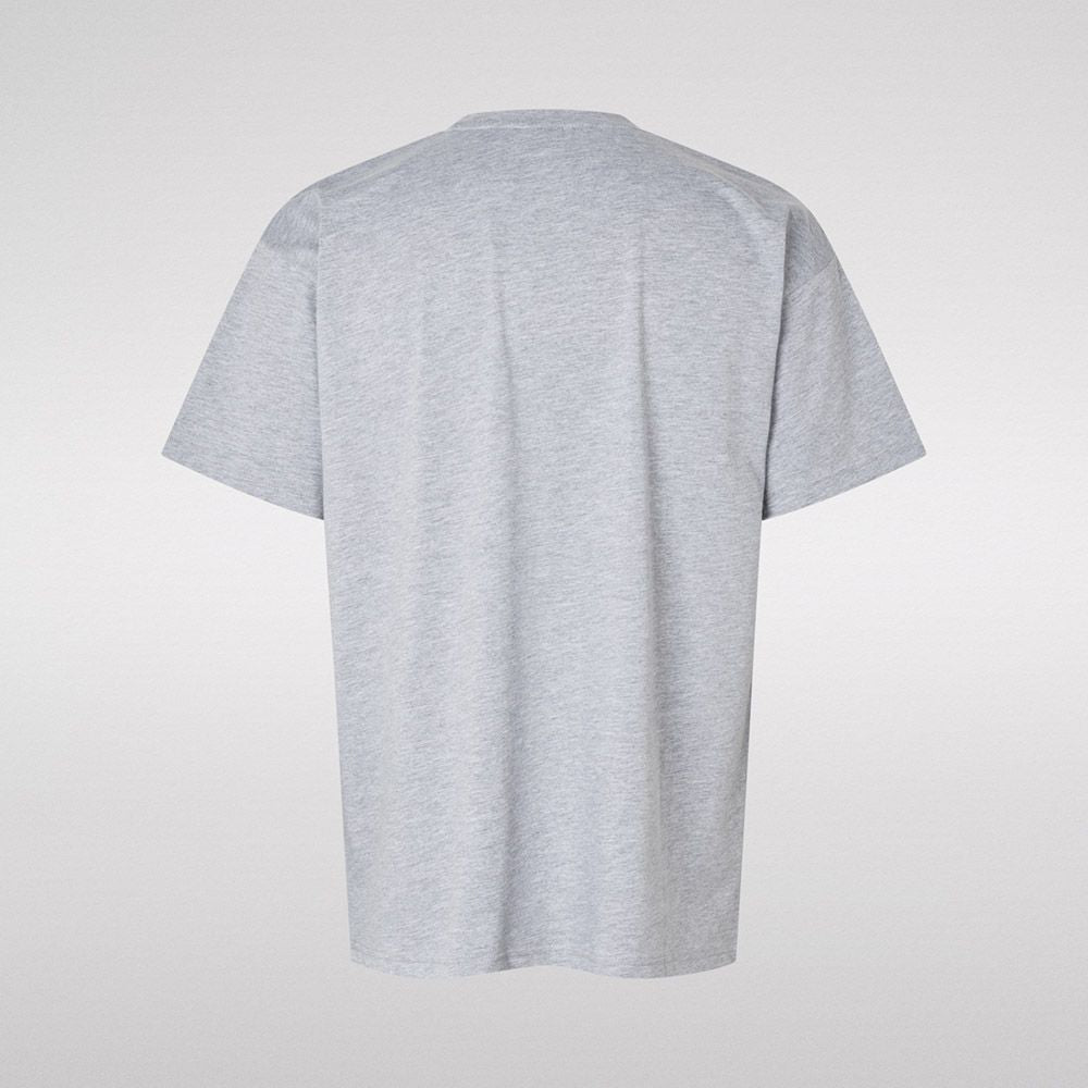 T-shirt - Grå med Skyline